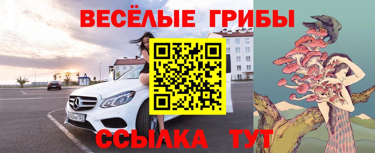 Псилоцибиновые грибы Psilocybe  Вход с VPN  Ликино-Дулёво  Галлюциногенные грибы GOLDEN TEACHER 